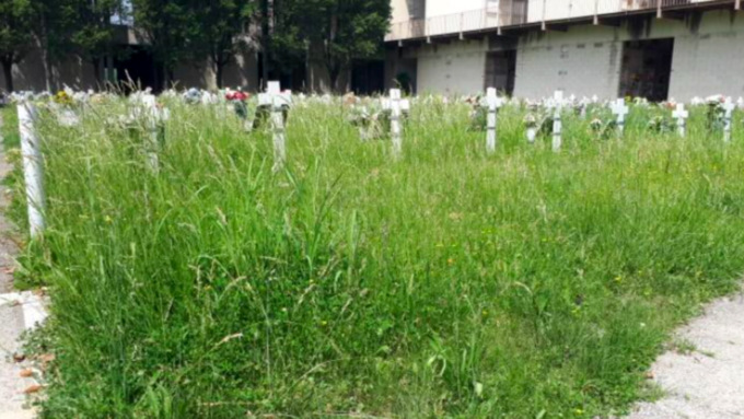 Piano di sfalci e manutenzioni nei cimiteri di Genova