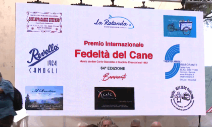 Jack e Zeus si aggiudicano alla pari il 64° "Premio Internazionale Fedeltà del Cane"