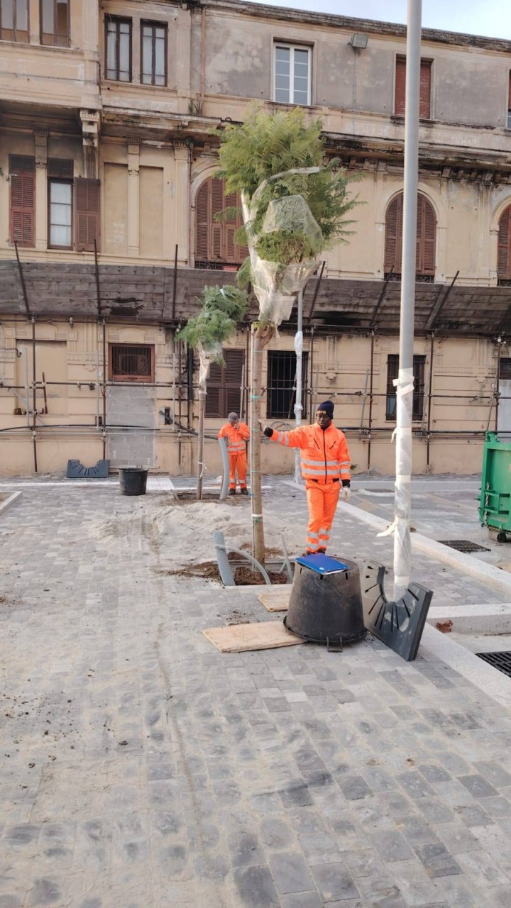 Lungomare Canepa, messi a dimora alberi e piante