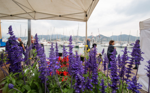 Genova ospita il Classic Boat Show: protagoniste le grandi storie della vela italiana e lo sguardo verso l’America’s Cup 2027