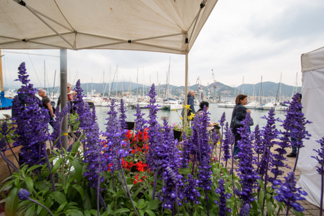 Genova ospita il Classic Boat Show: protagoniste le grandi storie della vela italiana e lo sguardo verso l’America’s Cup 2027